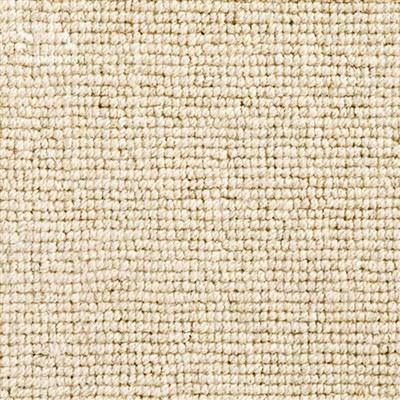 พรมห่วงระดับ